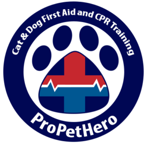 Cat and Dog First Aid Training