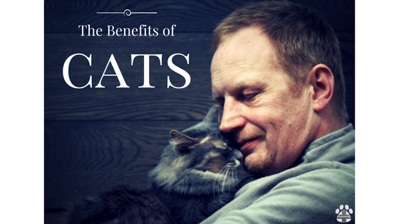 benefit of cats