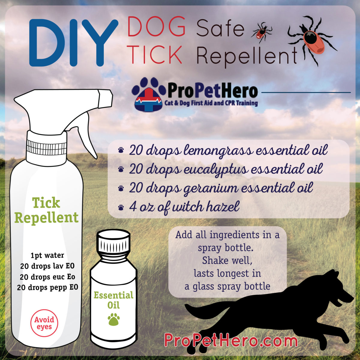 Ticks; The Pesky Parasites Plaguing Our Pets - Pro Pet Hero