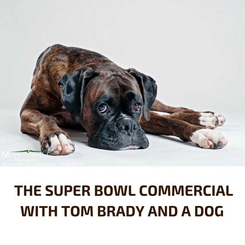 Tom Brady and the dog commerciall