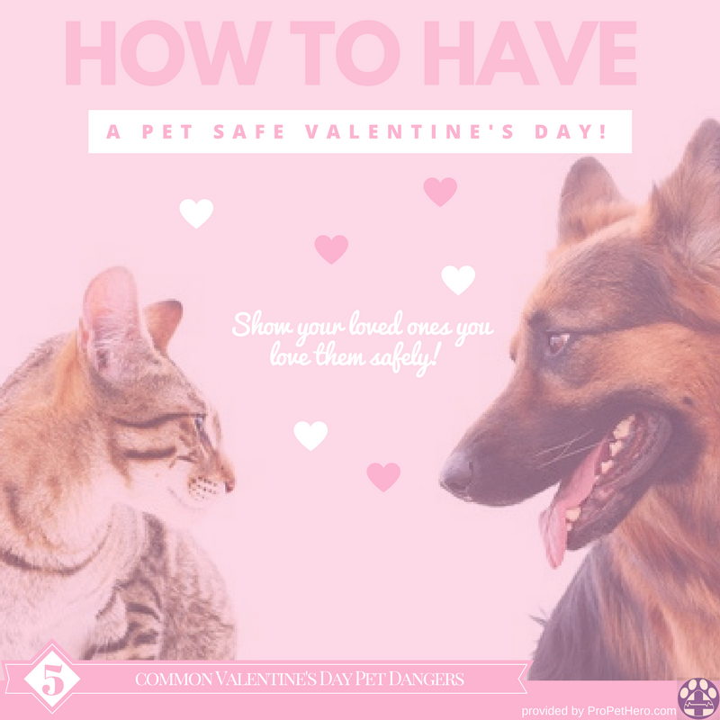 Valentine's safety for pets