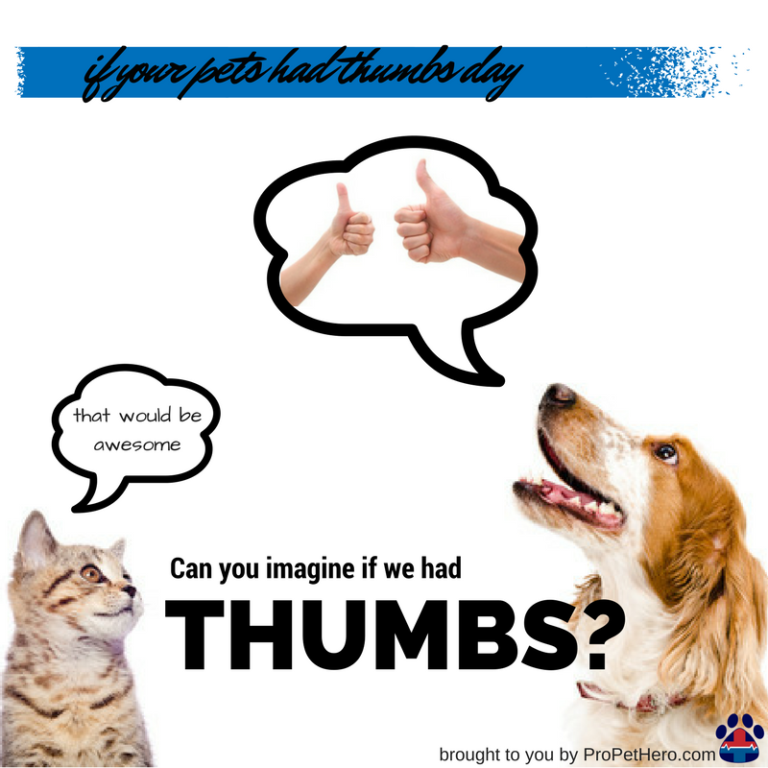 If Pets Had Thumbs Day Pro Pet Hero