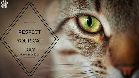 respect your cat day