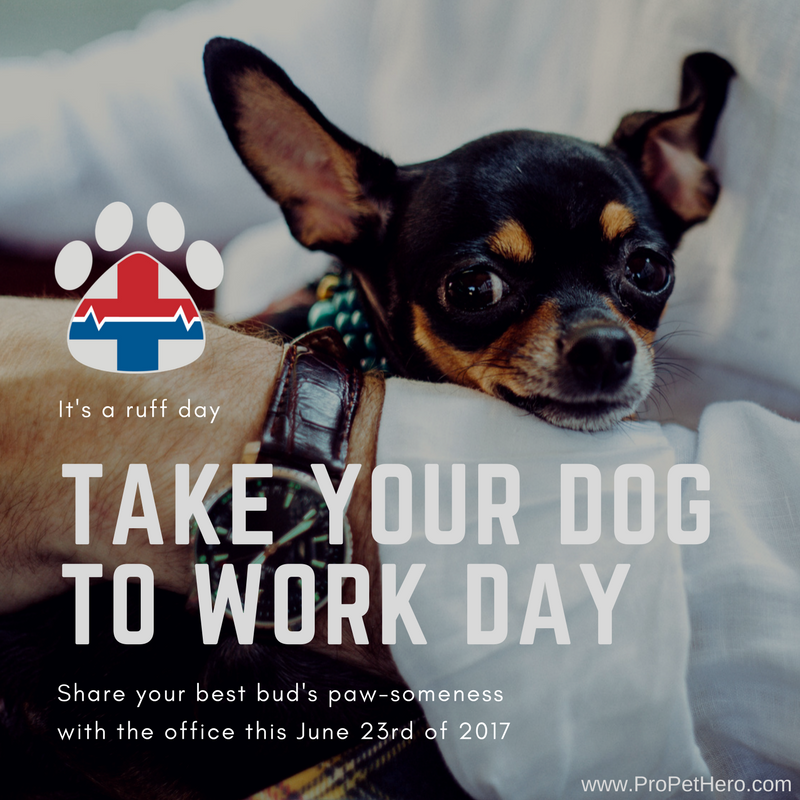 Take Your Dog to Work Day Pro Pet Hero