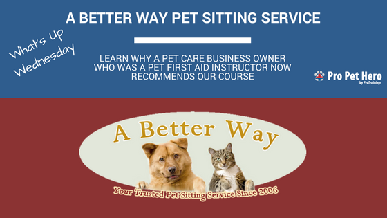 a better way pet sitting