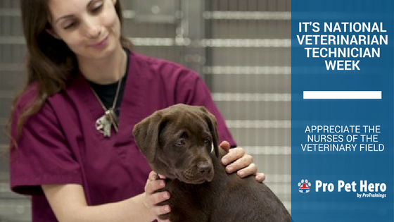 national vet tech week