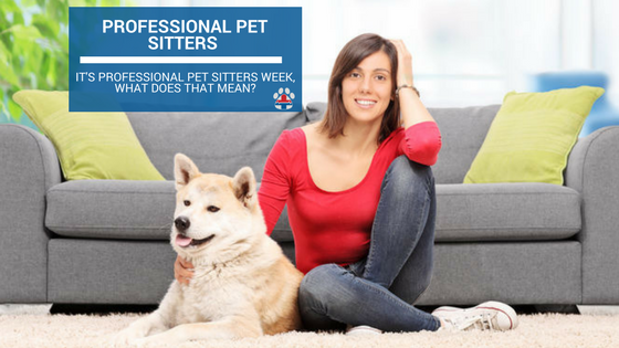 professional pet sitter