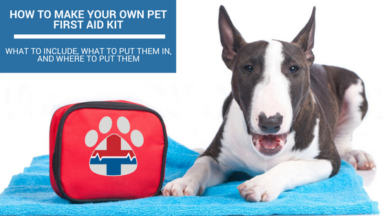 how to make your own pet first aid kit