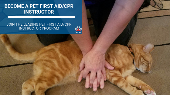 how to become a pet first aid instructor