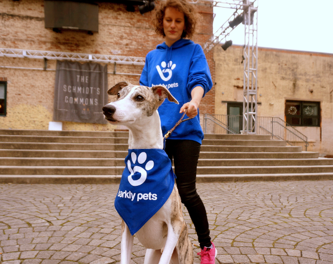 dog walker new york