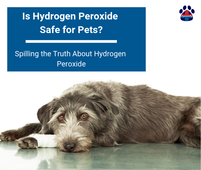 Is Hydrogen Peroxide Safe for Pets? - Pro Pet Hero