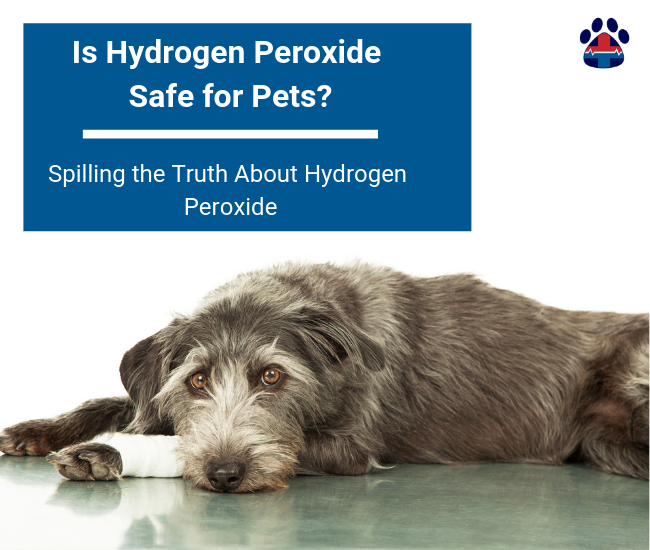 can i use diluted peroxide to clean my dogs muzzle