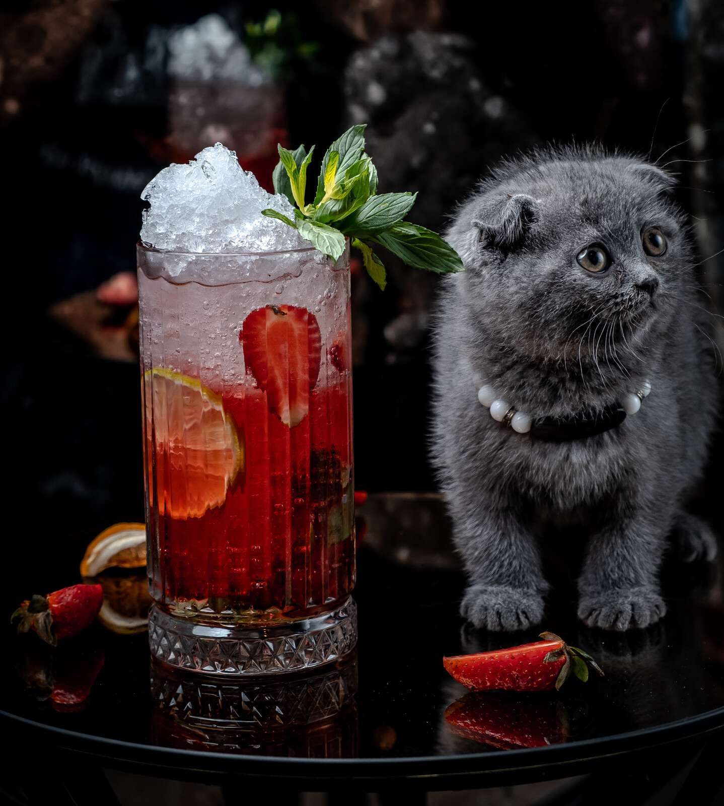 alcohol and pets 