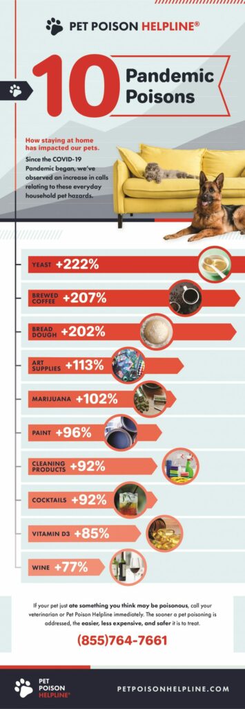 common pet poisons 