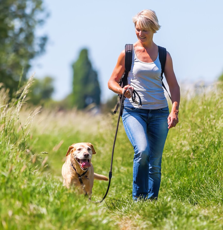 dog walker 